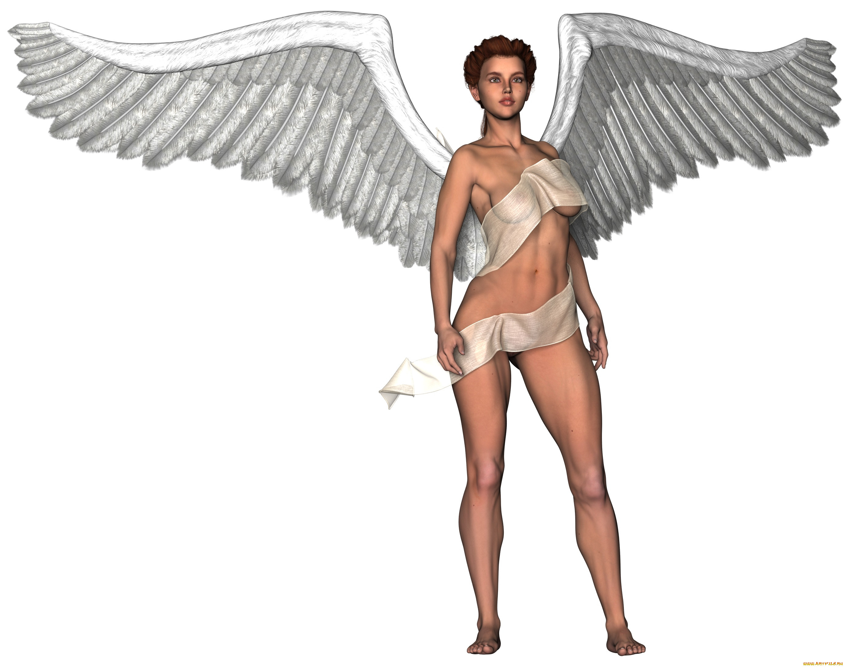 3 ,  , angel, , , , 